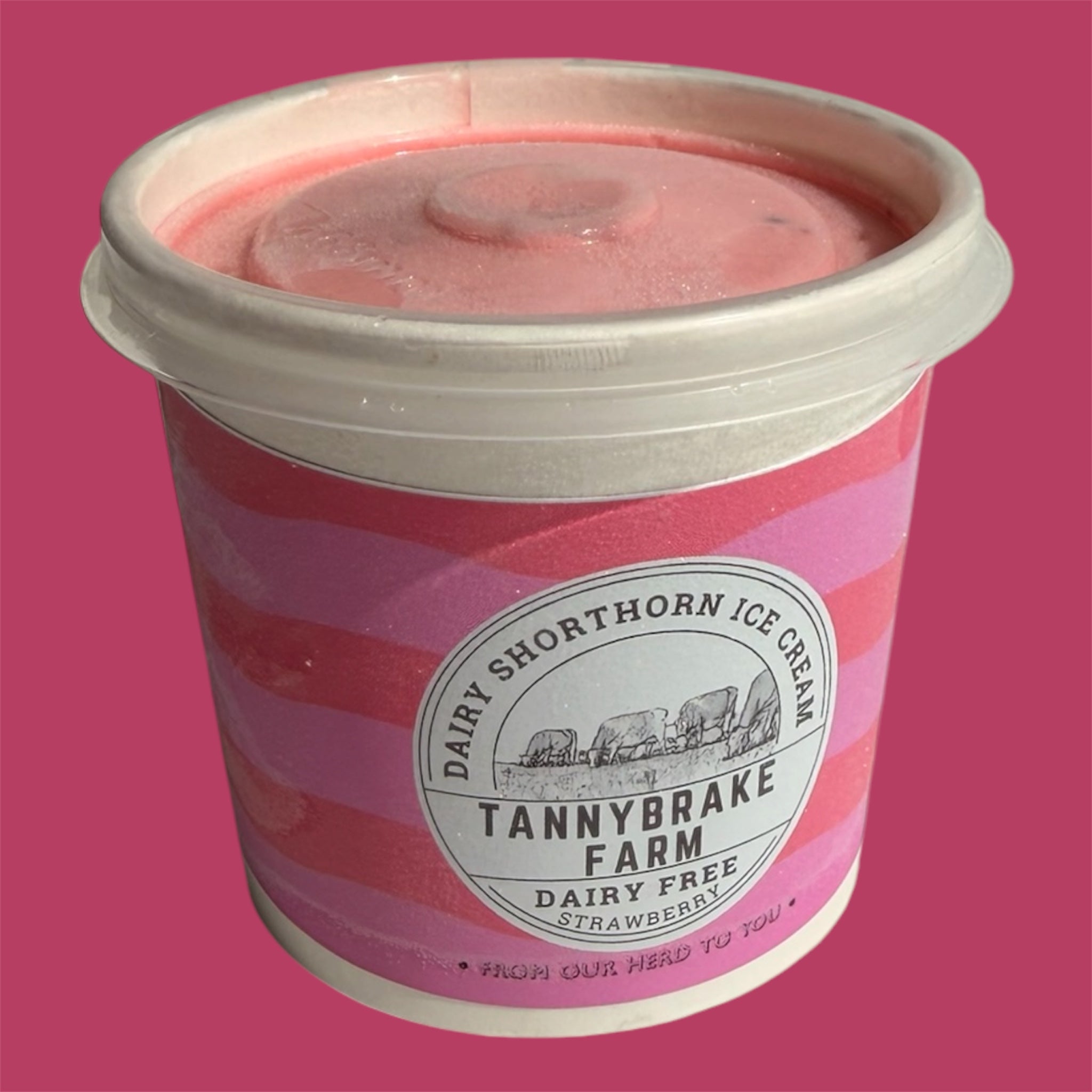 *DAIRY FREE* Strawberry sorbet