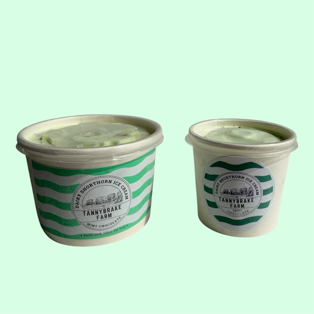 Mint Chocolate