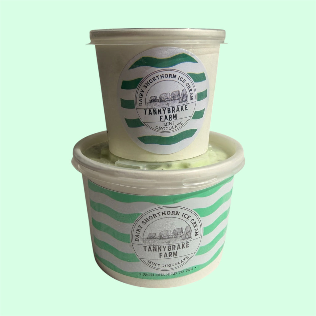 Mint Chocolate